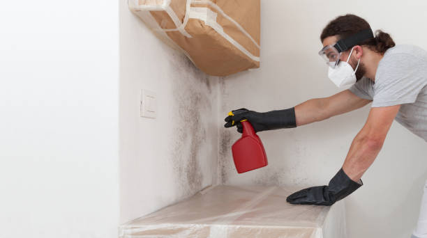 Professional Attic Mold Remediation technician working in Estero, FL